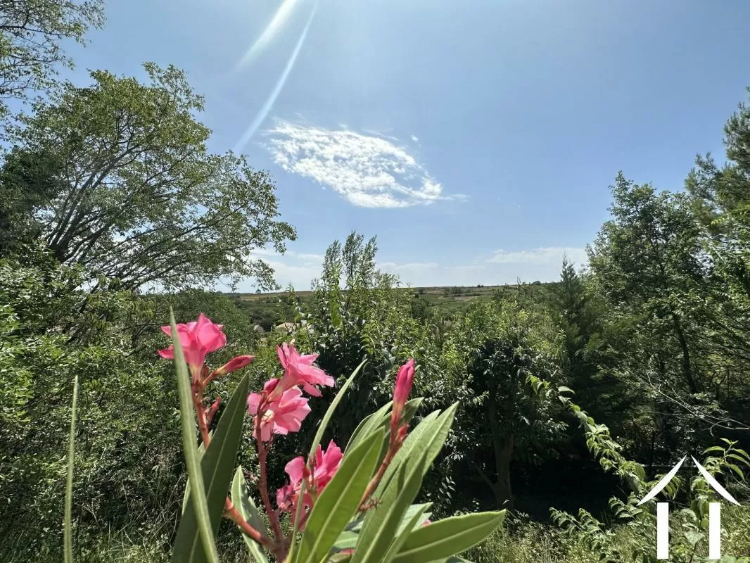 Haus zu verkaufen magalas, languedoc-roussillon, EG2474 Bild - 5