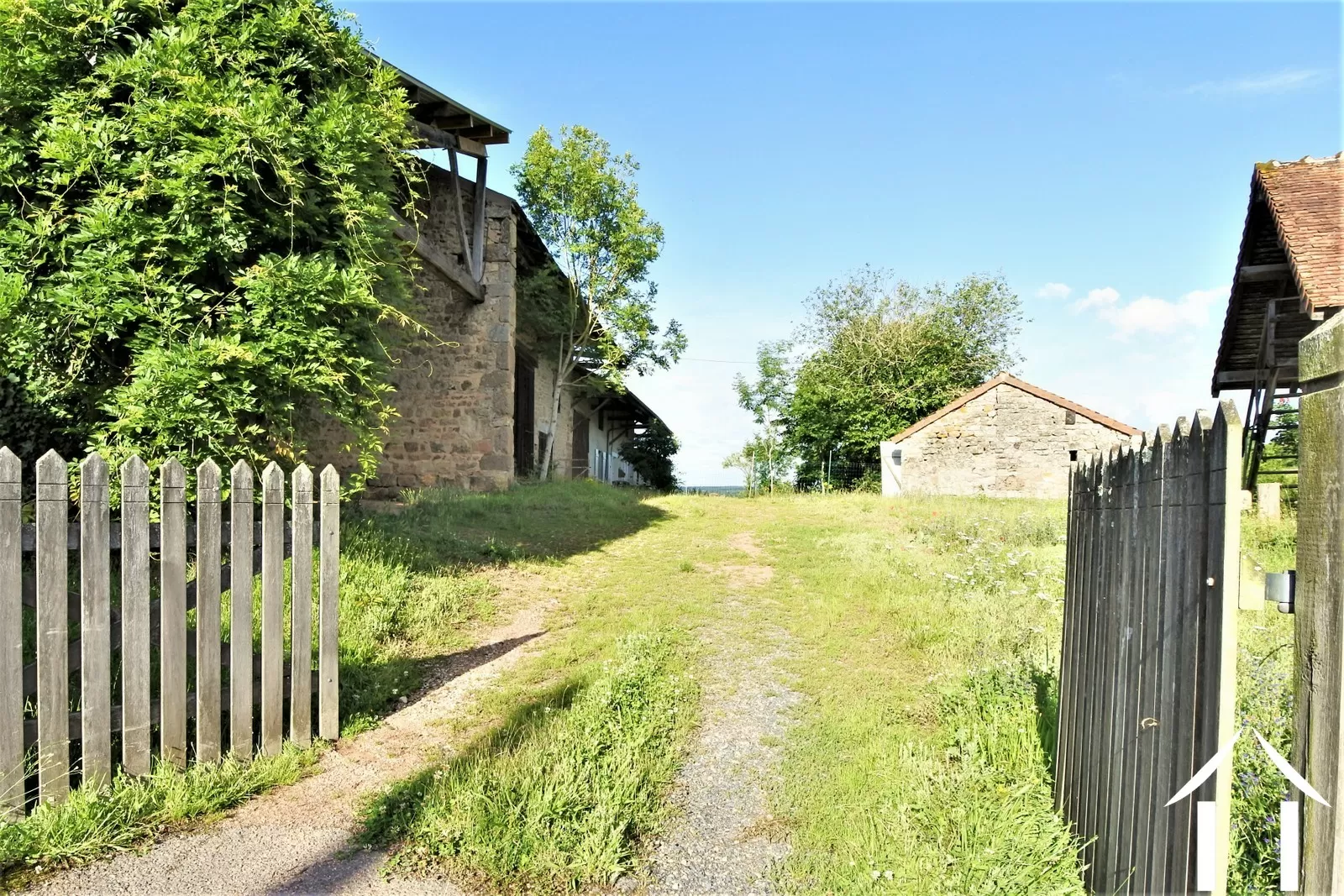 Immobilien 1 hectare ++ zu verkaufen st martin de salencey, burgund, JP5243S Bild - 10