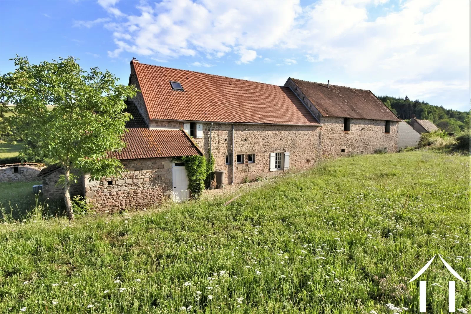 Immobilien 1 hectare ++ zu verkaufen st martin de salencey, burgund, JP5243S Bild - 13