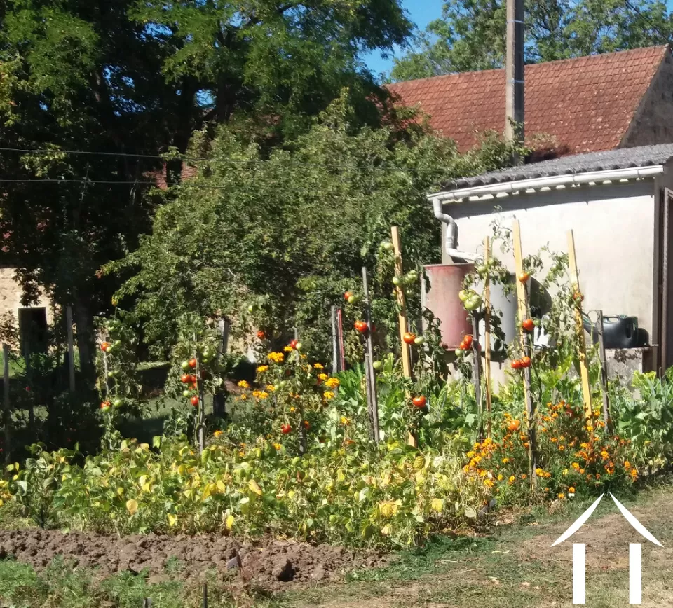 Gemüsegarten