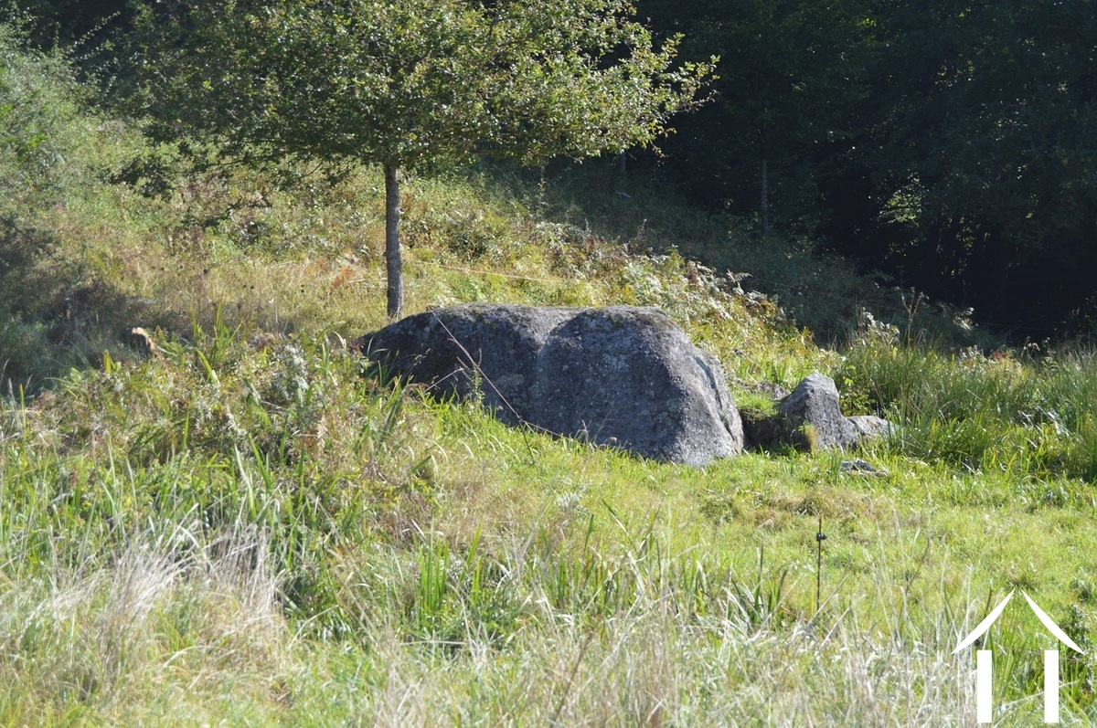 Immobilien 1 hectare ++ zu verkaufen tazilly, burgund, RP5275M Bild - 28