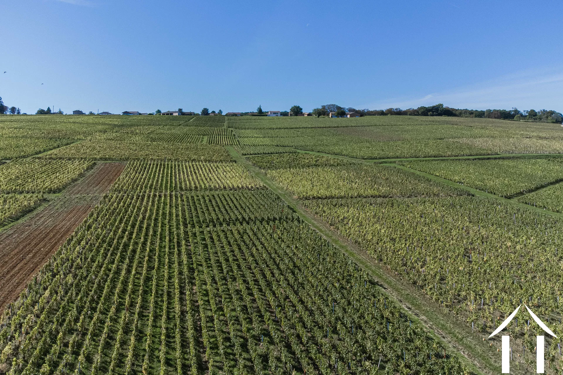 Herrenhaus zu verkaufen macon, burgund, JP5262S Bild - 20