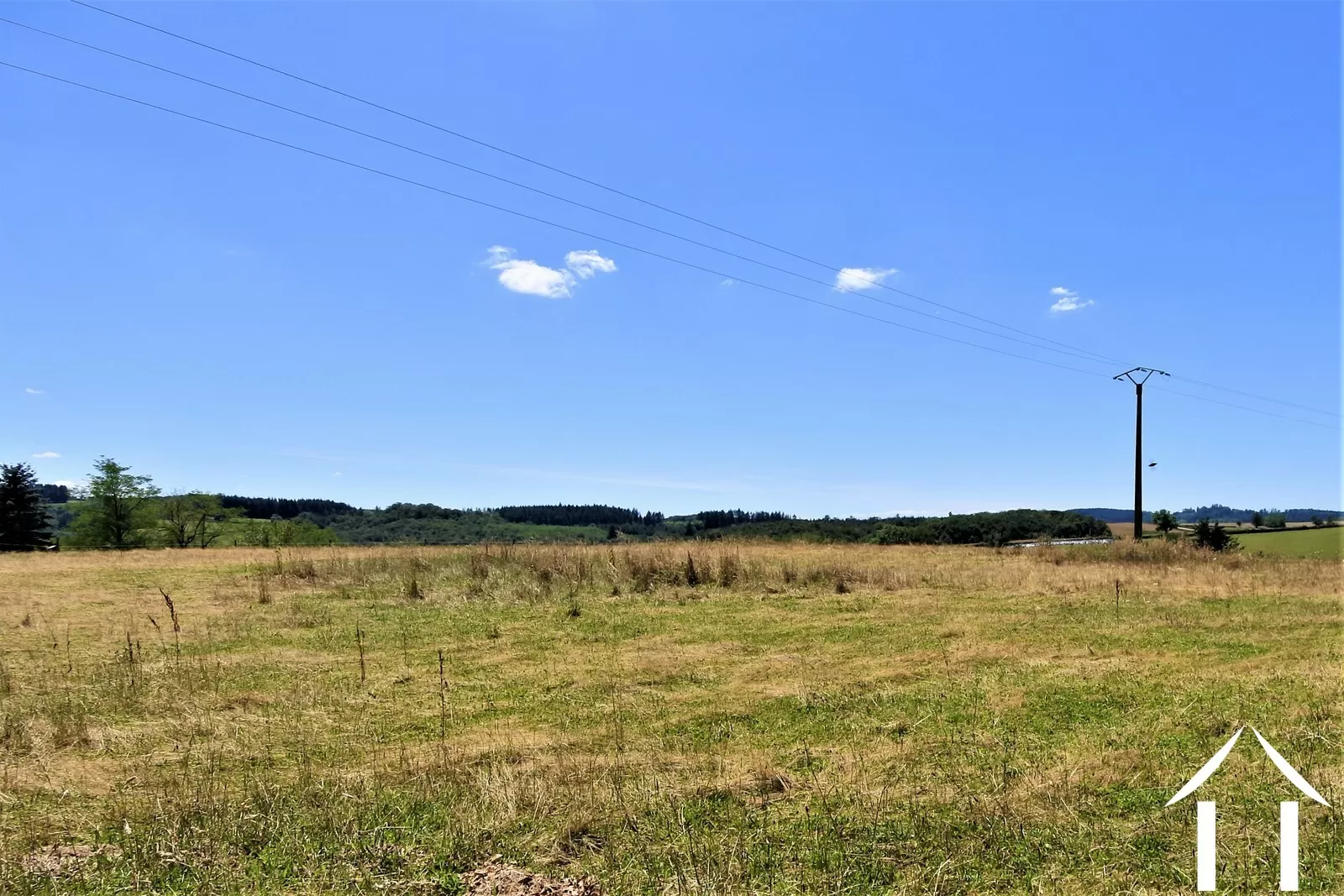 Immobilien 1 hectare ++ zu verkaufen st martin de salencey, burgund, JP5345S Bild - 7