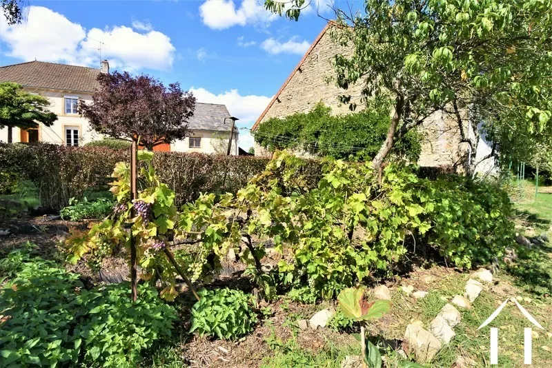 Haus mit Gästehaus zu verkaufen igornay, burgund, JP5365S Bild - 35