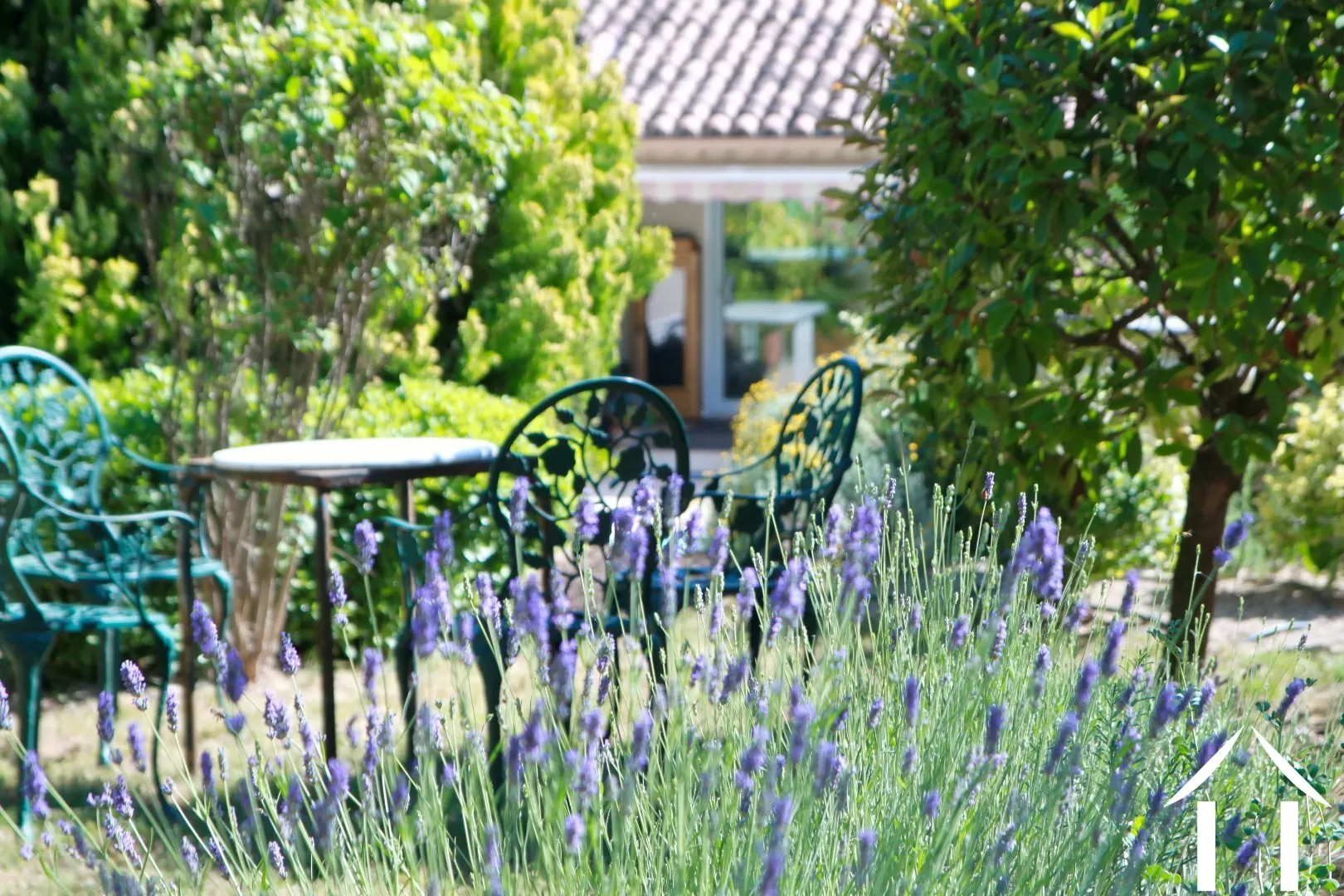 ebenerdiges Haus zu verkaufen abeilhan, languedoc-roussillon, 18-3885 Bild - 3