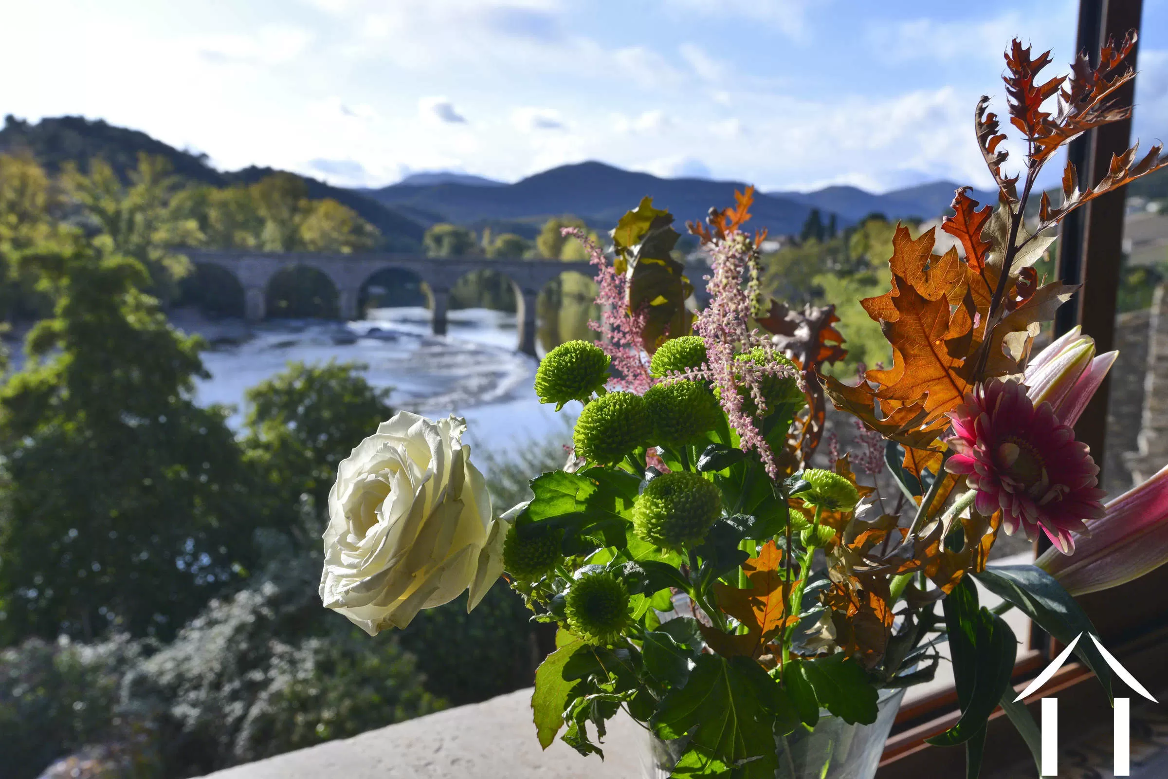 Haus mit Gästehaus zu verkaufen roquebrun, languedoc-roussillon, 09-6815 Bild - 6