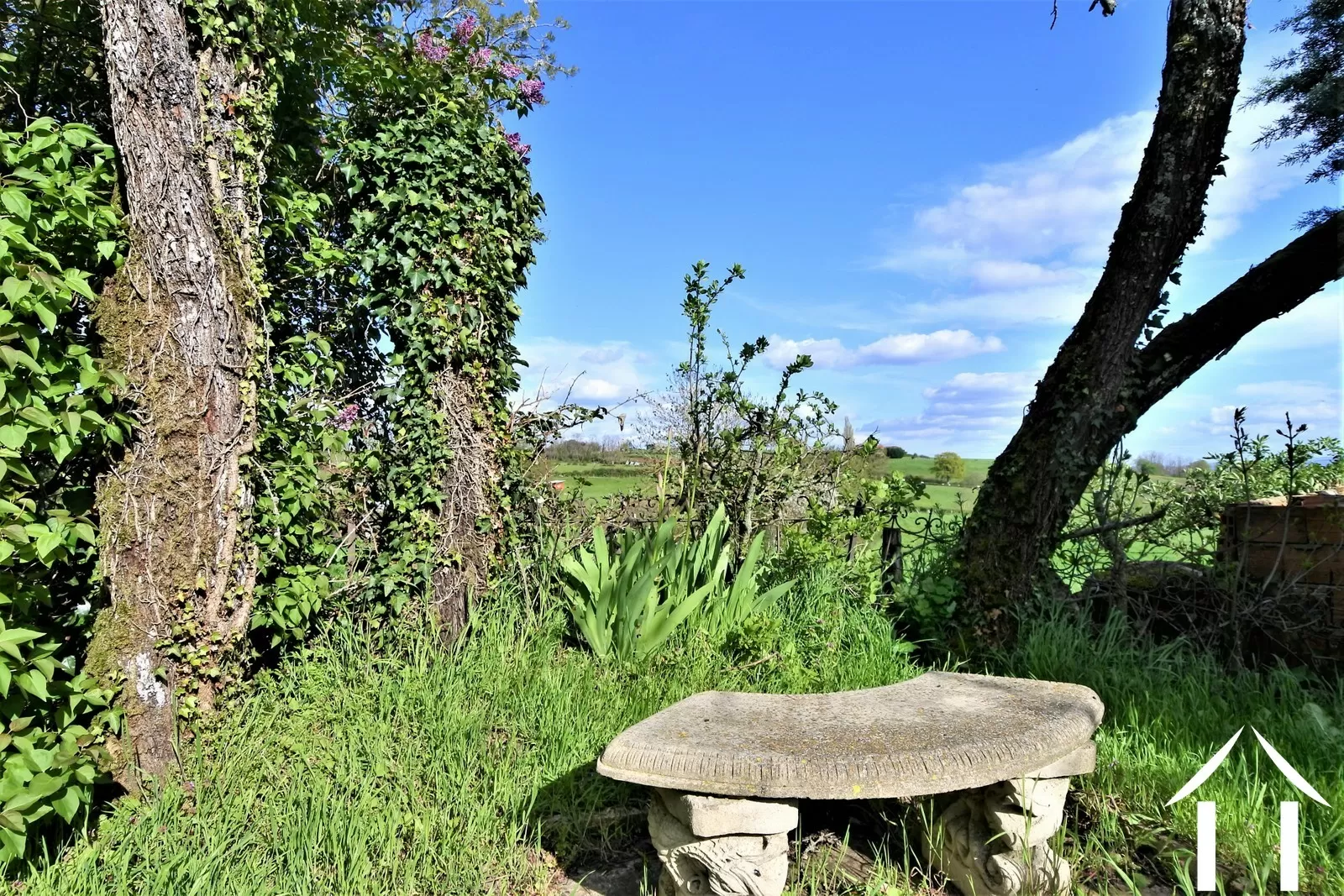 Haus zu verkaufen la guiche, burgund, JDP5664S Bild - 19