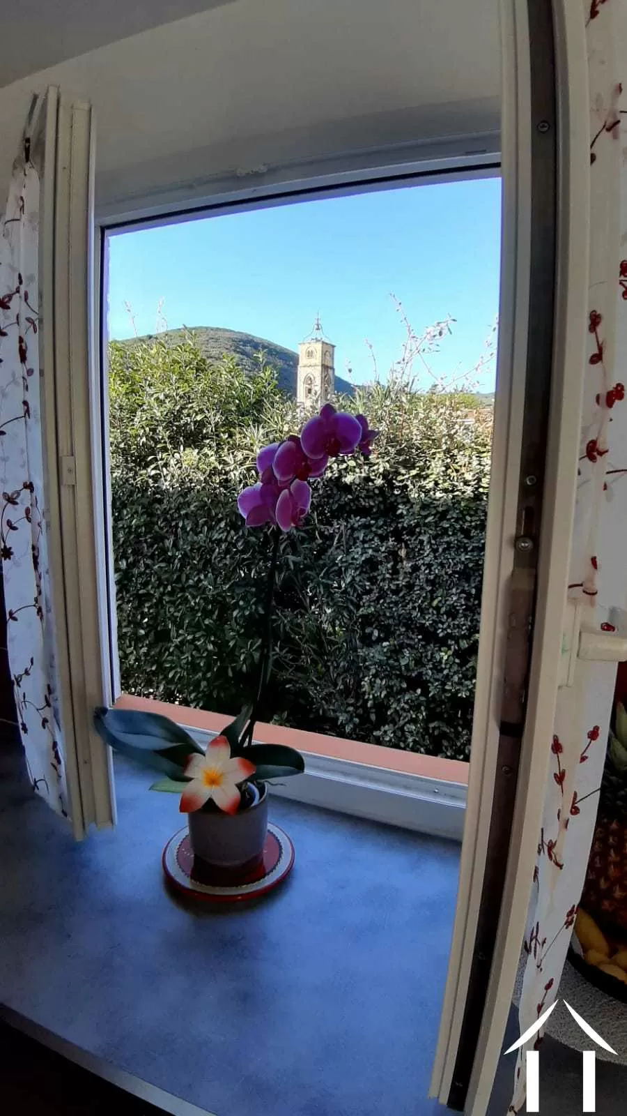 Haus mit Gästehaus zu verkaufen villemagne l'argentiere, languedoc-roussillon, 11-2477 Bild - 4