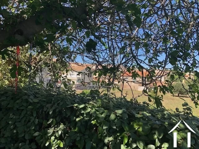 Haus zu verkaufen servian, languedoc-roussillon, 11-2480 Bild - 8