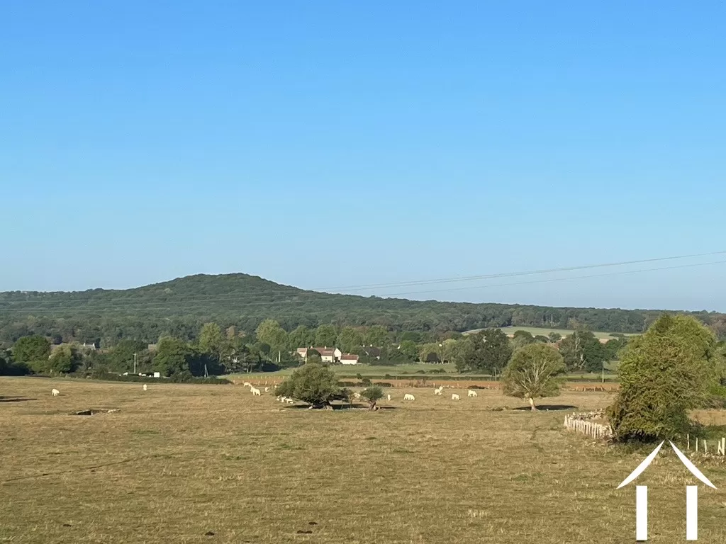 Open views