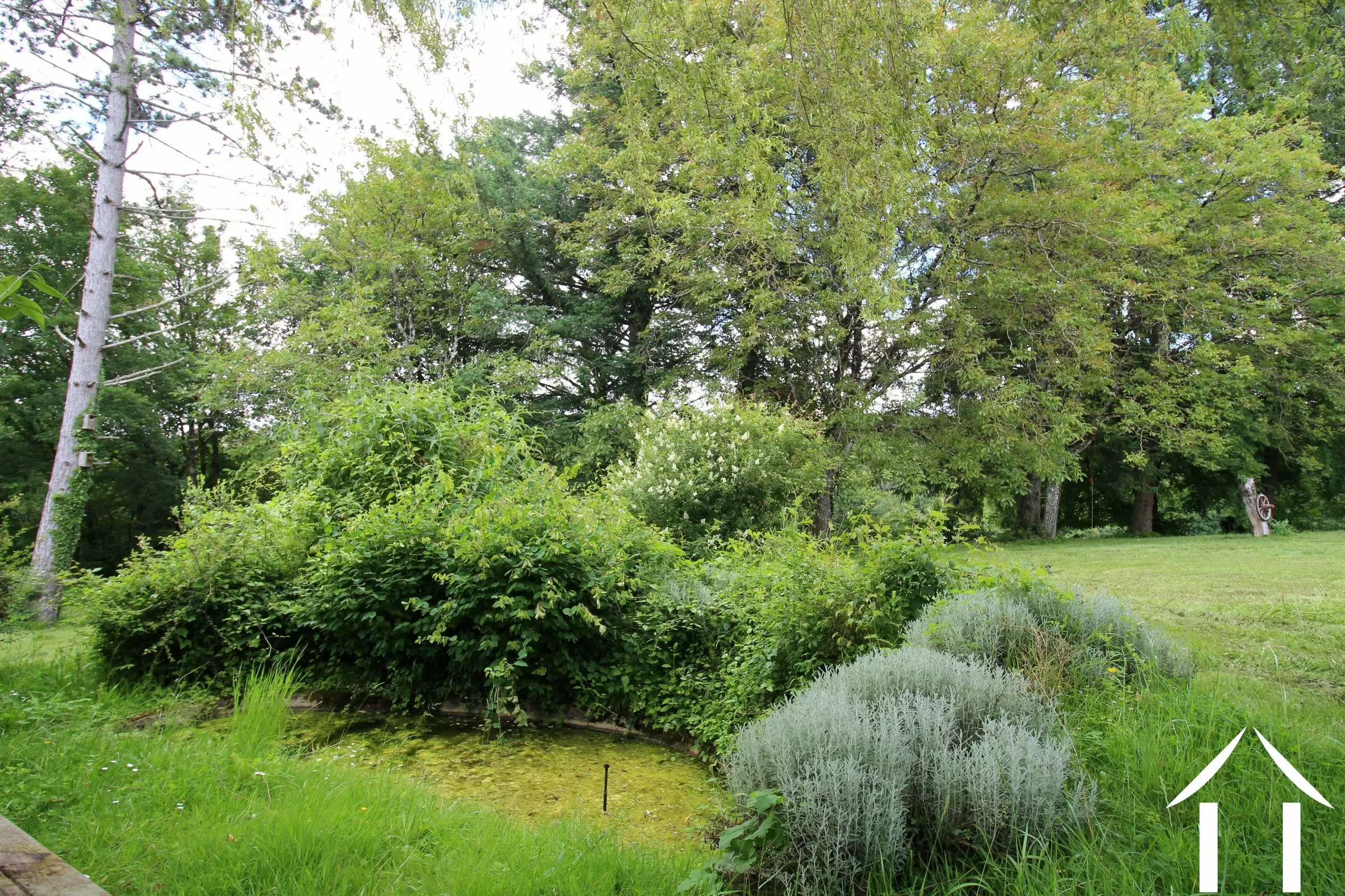 Haus zu verkaufen colmery, burgund, LB5535N Bild - 21