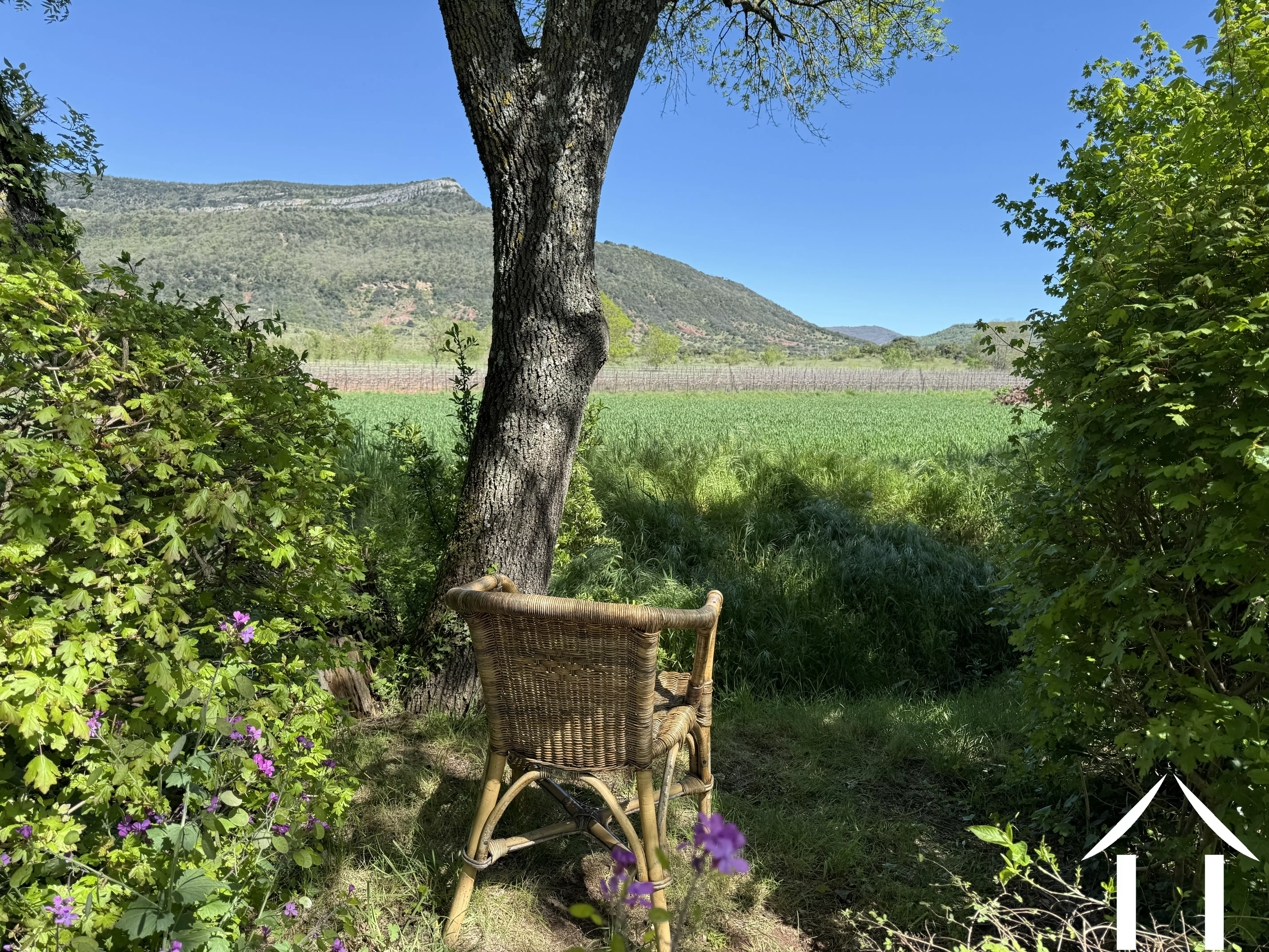 Haus zu verkaufen la tour sur orb, languedoc-roussillon, 11-2520 Bild - 2