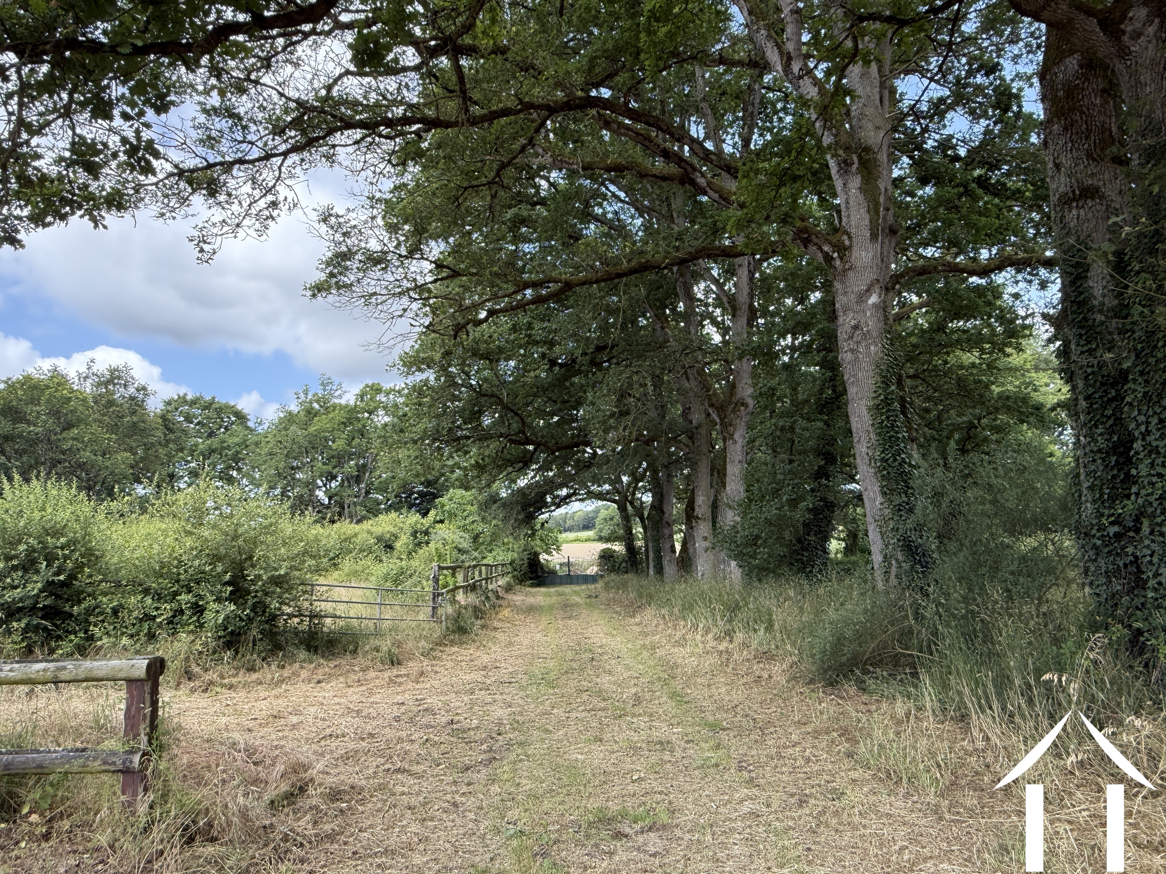Haus zu verkaufen conquereuil, pays-de-la-loire, 11-2524 Bild - 6
