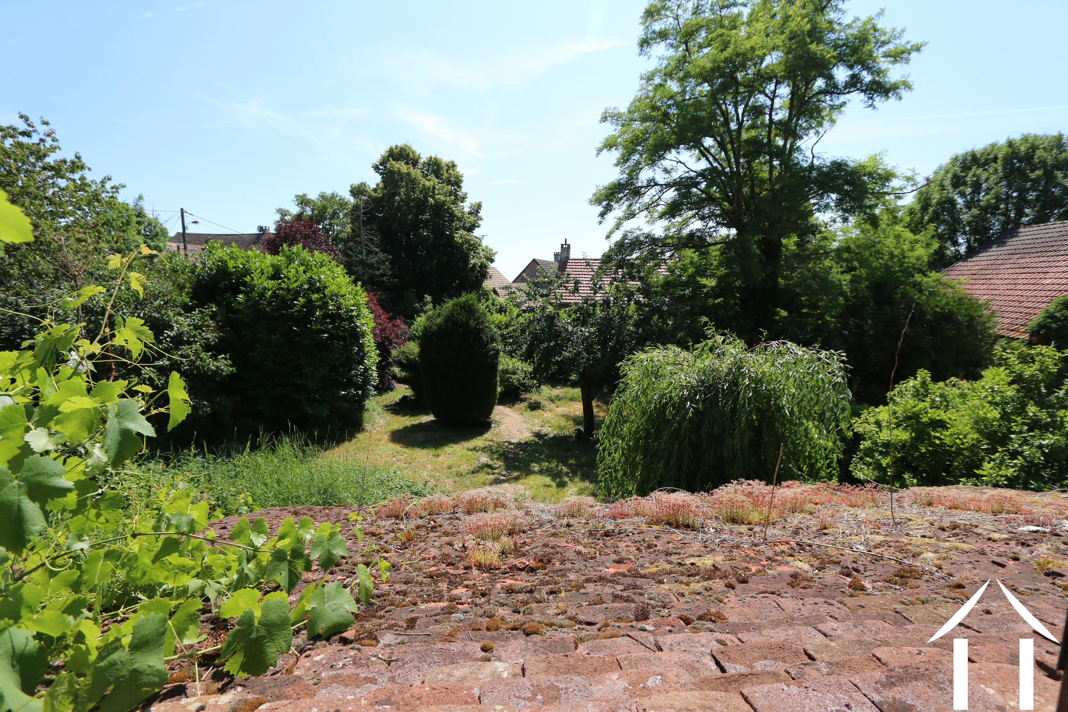 Aussicht von der Küche