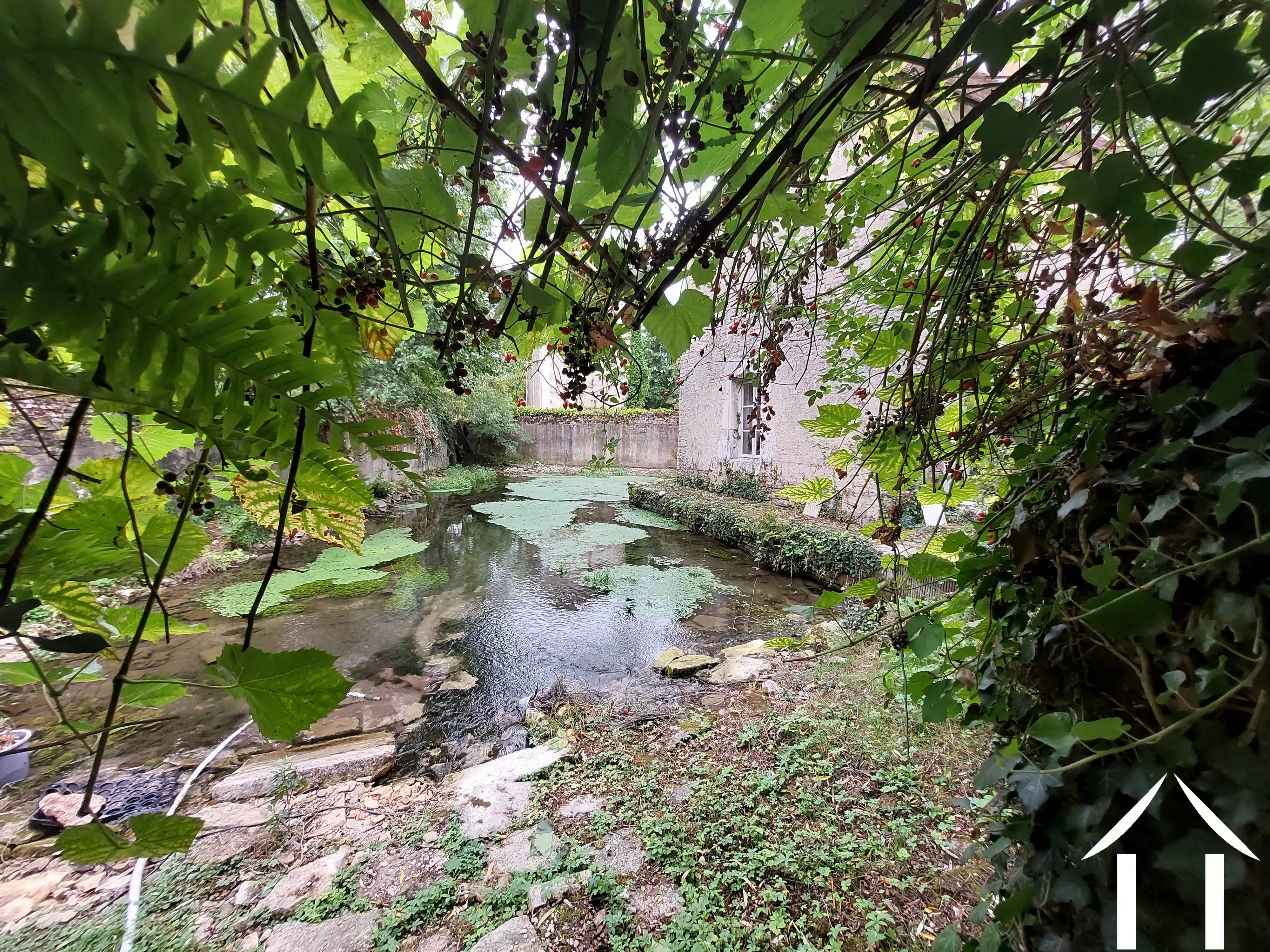 Haus zu verkaufen noyers, burgund, BH5622H Bild - 22