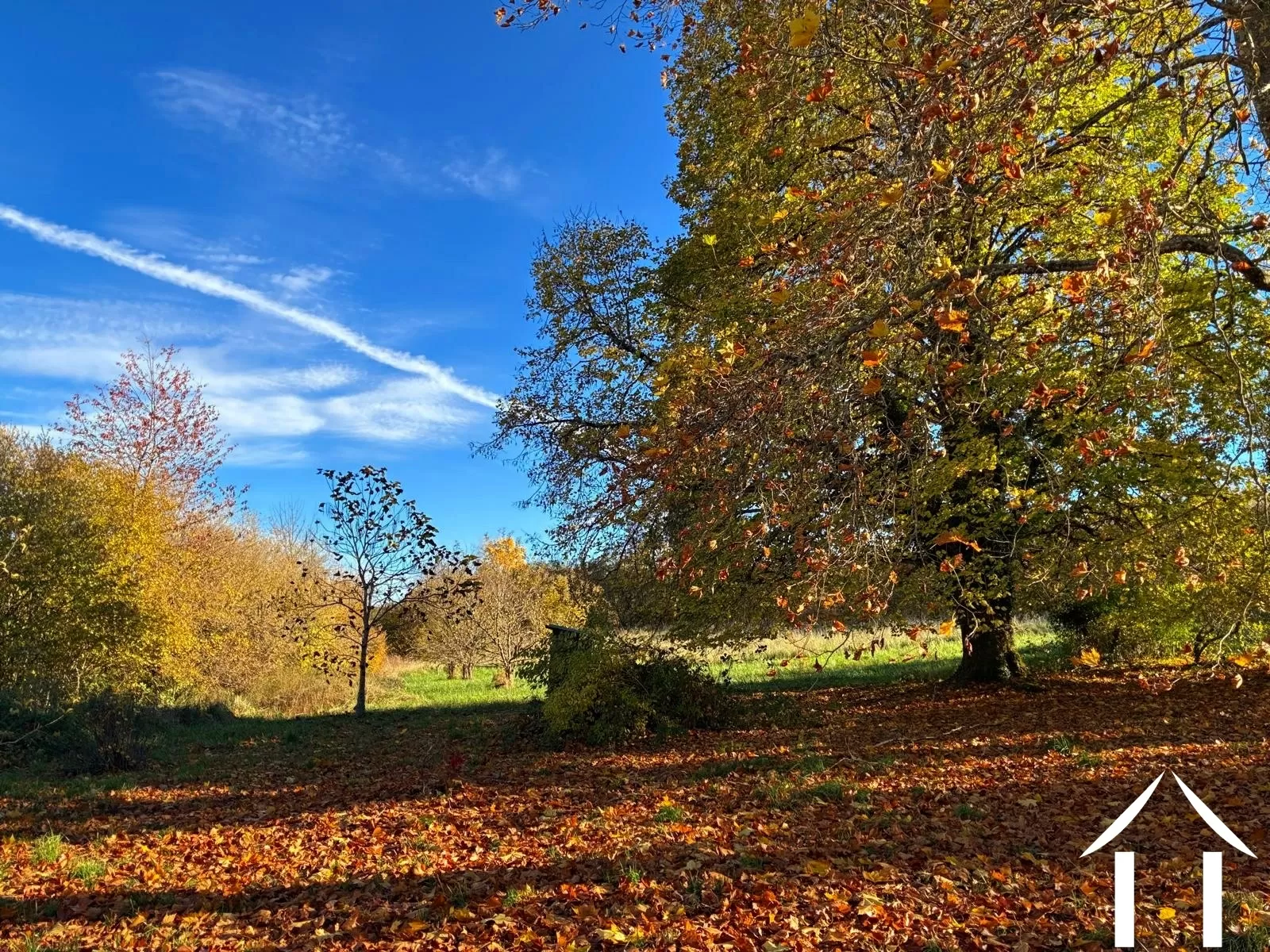 Haus zu verkaufen montsauche les settons, burgund, cvh5635 Bild - 4