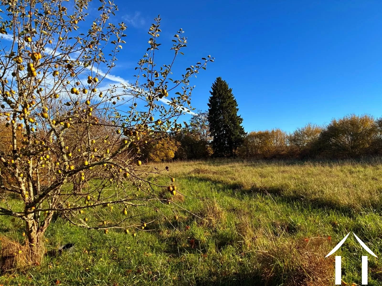 Haus zu verkaufen montsauche les settons, burgund, cvh5635 Bild - 12