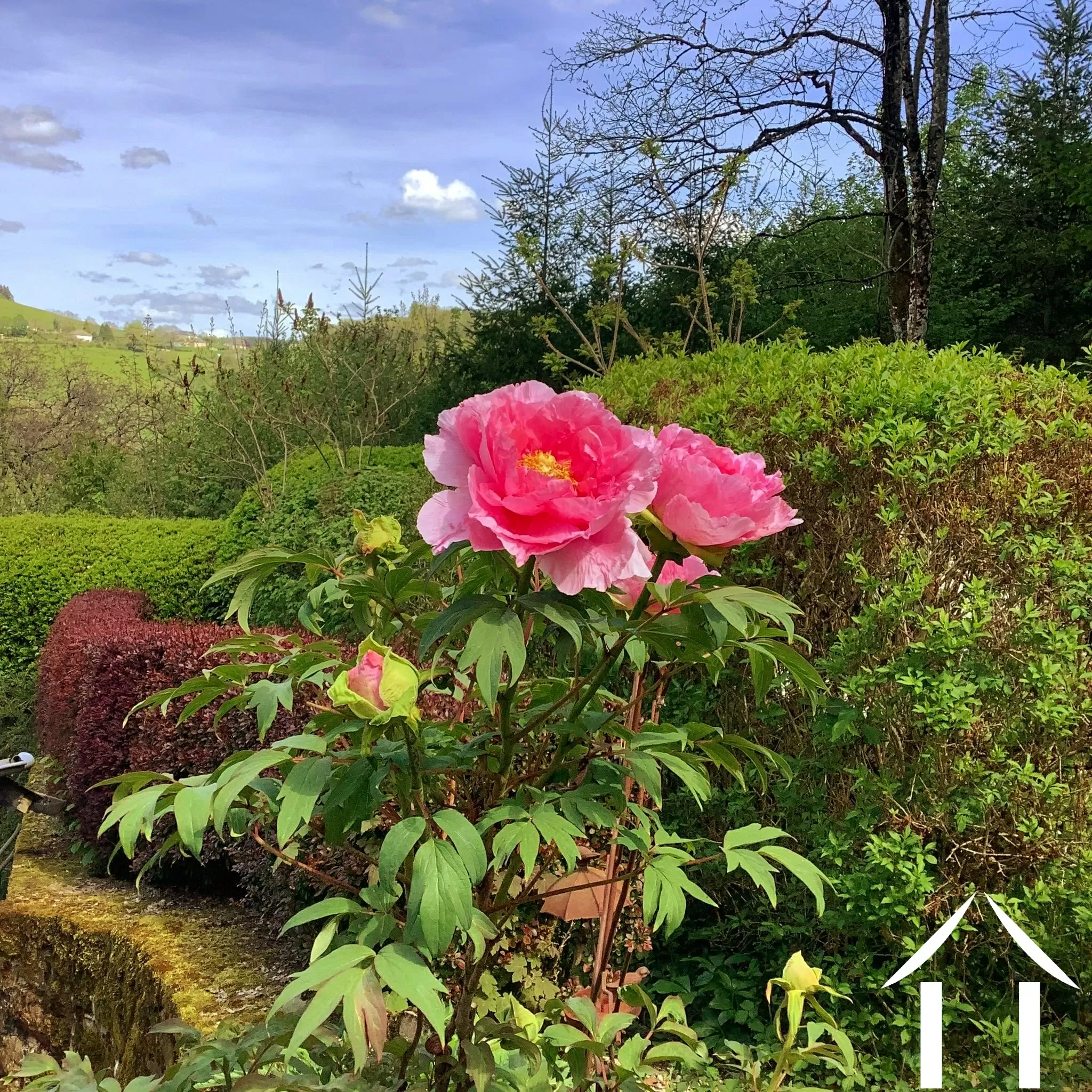 Haus zu verkaufen cussy en morvan, burgund, cvh5641 Bild - 18