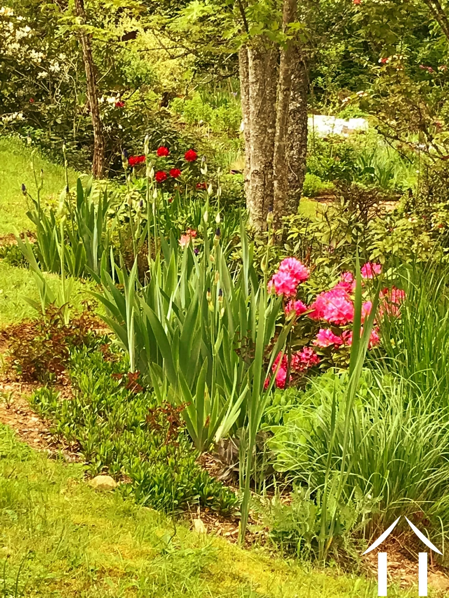 Haus zu verkaufen cussy en morvan, burgund, cvh5641 Bild - 15