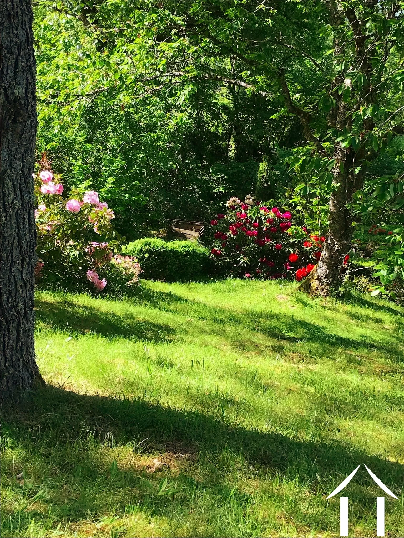 Haus zu verkaufen cussy en morvan, burgund, cvh5641 Bild - 6