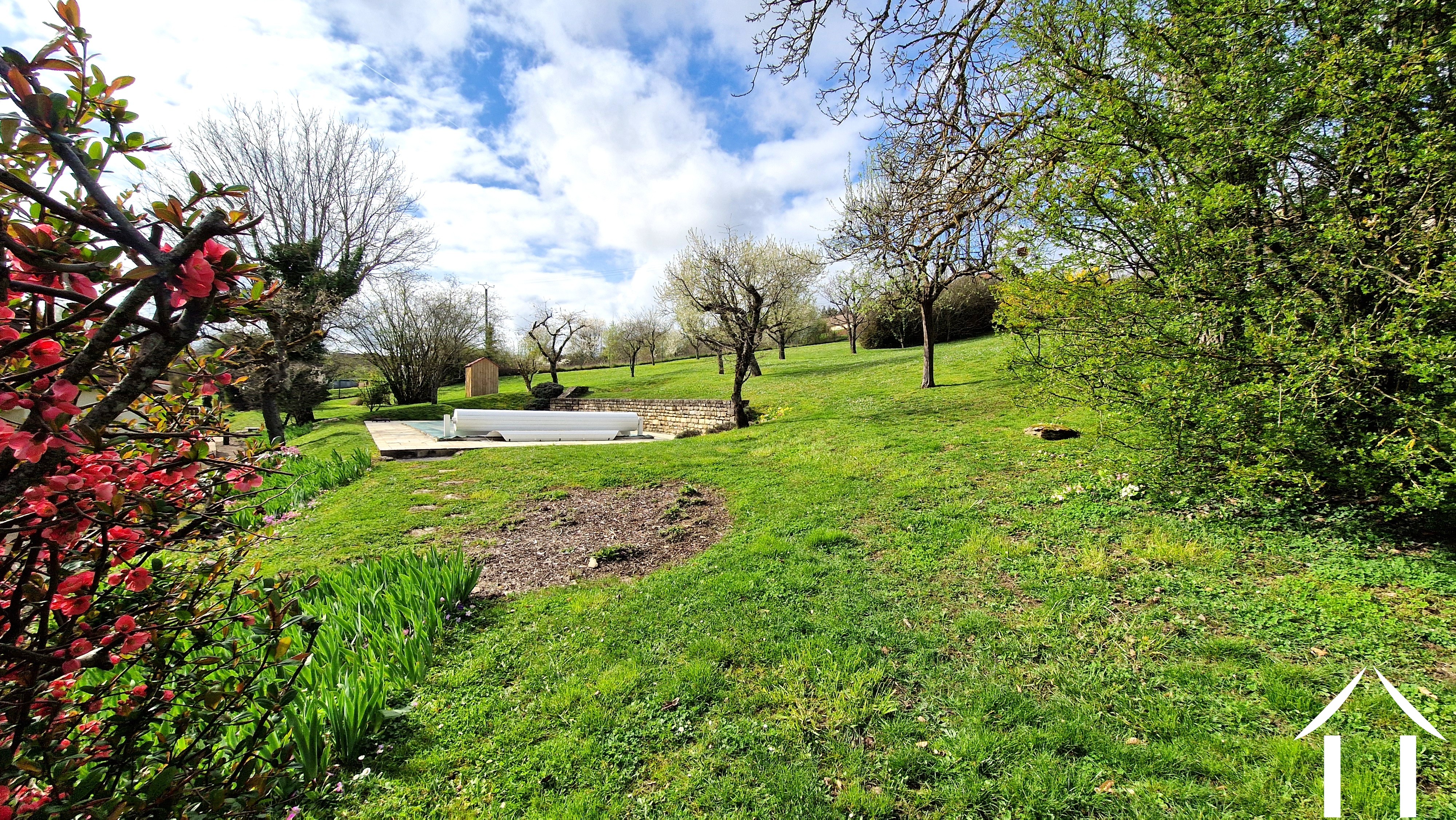 Hintergarten mit Pool