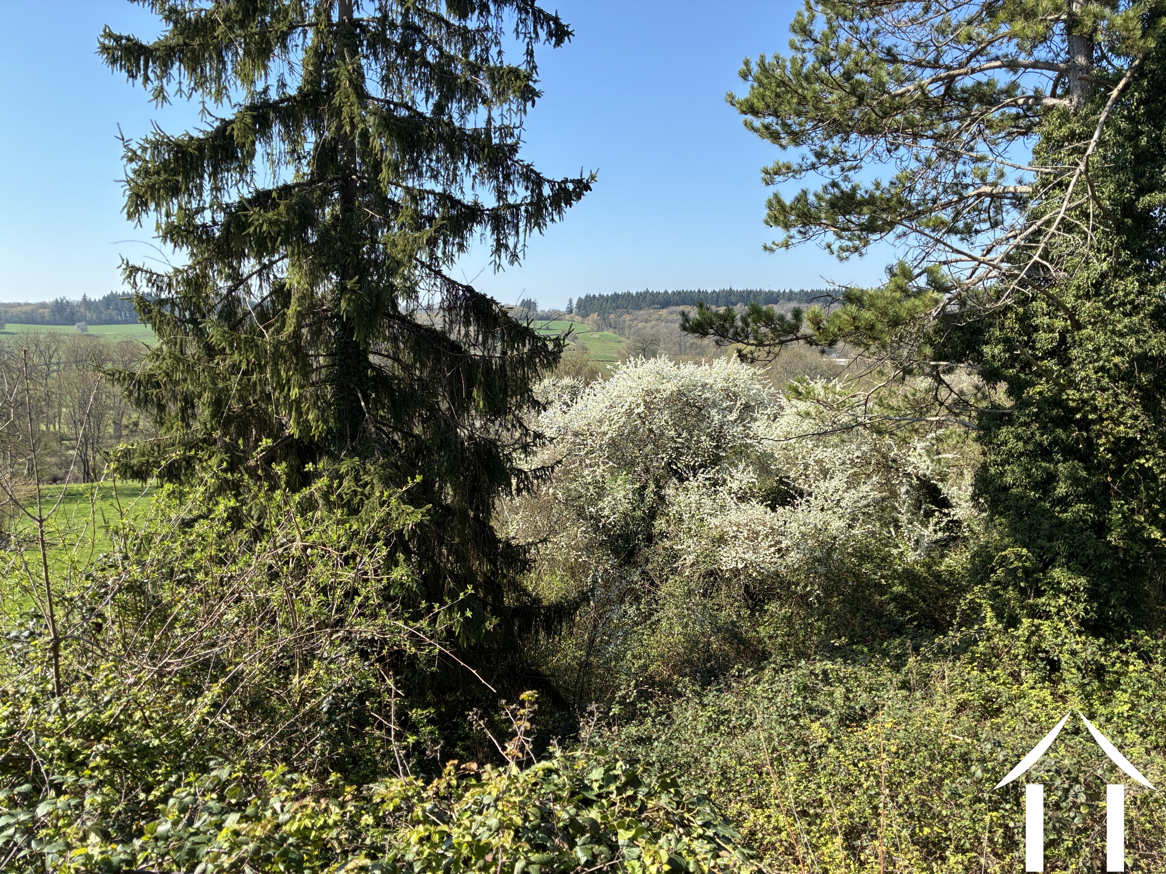 Haus zu verkaufen mont et marre, burgund, cvh5658 Bild - 15