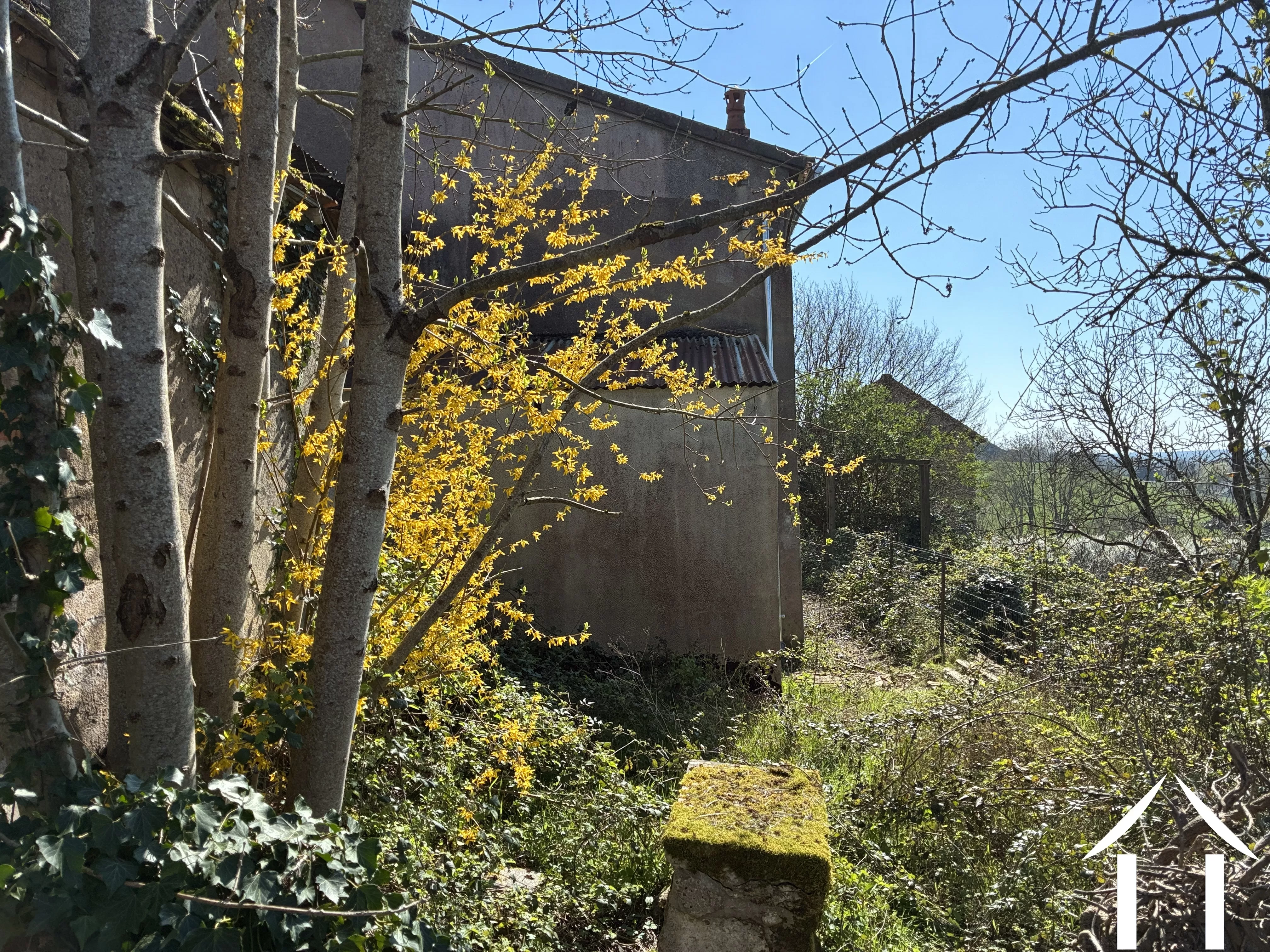 Haus zu verkaufen mont et marre, burgund, cvh 5658 Bild - 16