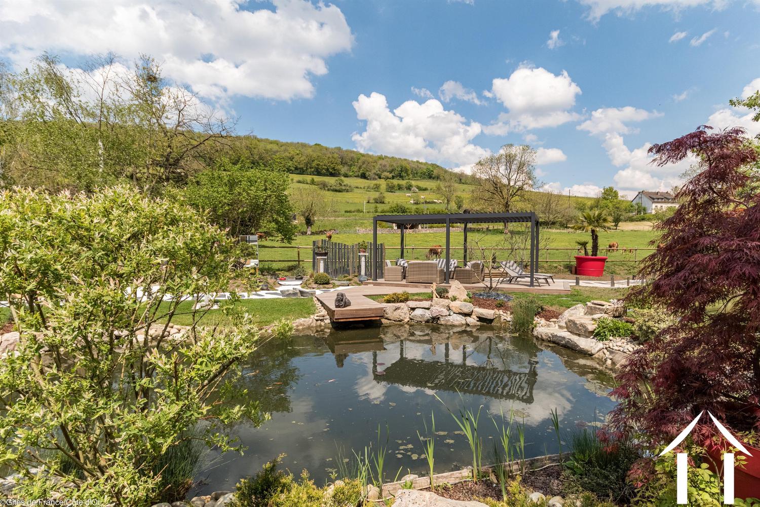 Gartenfischteich Karpfen zur Pergola und japanischen Gärten
