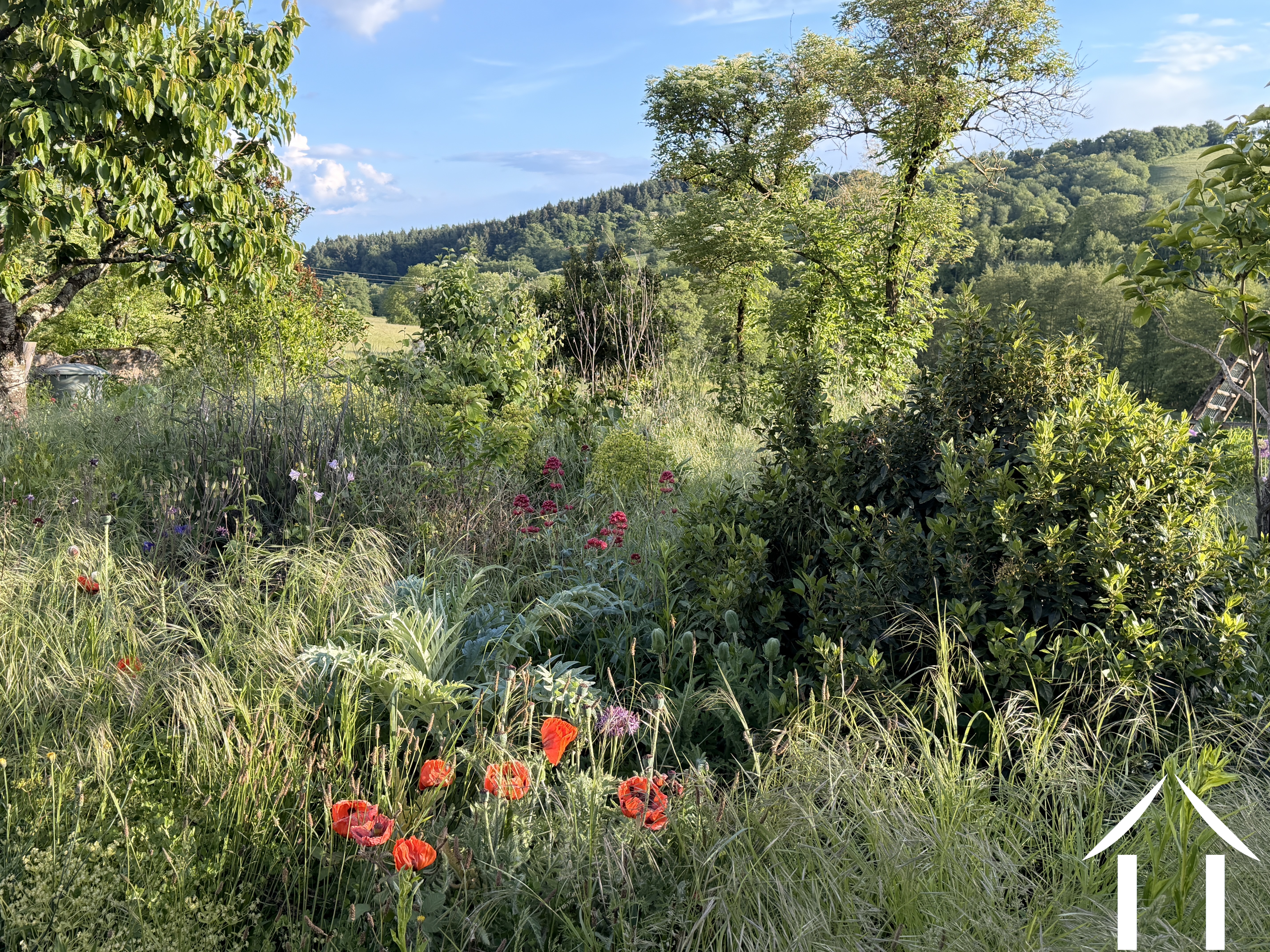 Gartenansicht
