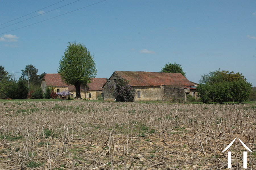 Immobilien 1 hectare ++ zu verkaufen montignac, aquitaine, GVS3746C Bild - 9