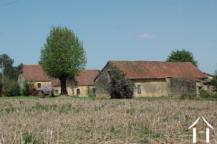 Immobilien 1 hectare ++ zu verkaufen montignac, aquitaine, GVS3746C Bild - 10
