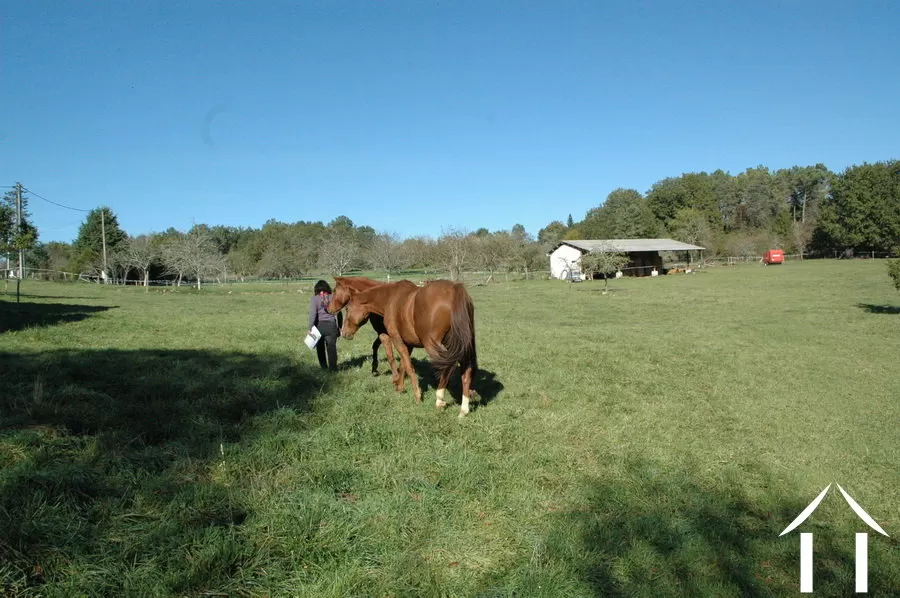 Bauerhaus zu verkaufen hautefort, aquitaine, GVS3344C Bild - 8