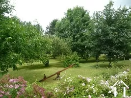 Shows the established garden