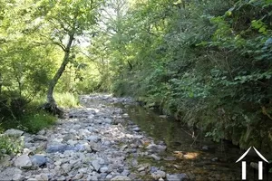Gelände zu verkaufen st gervais sur mare, languedoc-roussillon, 340522697 Bild - 6