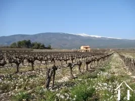 Cottage zu verkaufen bedoin, provence-cote-d'azur, 2096 Bild - 10
