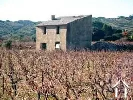 Haus zu verkaufen fitou, languedoc-roussillon, AS110007FI Bild - 2