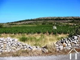Haus zu verkaufen fitou, languedoc-roussillon, AS110007FI Bild - 3