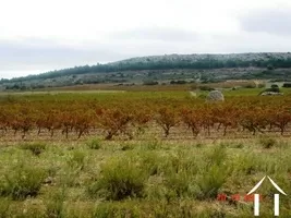 Haus zu verkaufen fitou, languedoc-roussillon, AS110007FI Bild - 4