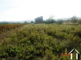 Haus zu verkaufen fitou, languedoc-roussillon, AS110007FI Bild - 5