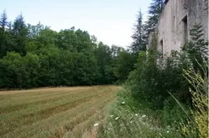 Scheunen und Ruinen zu verkaufen olargues, languedoc-roussillon, U340522159 Bild - 3