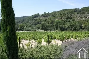 Chambre d hotes zu verkaufen beaumes de venise, provence-cote-d'azur, 11-2138 Bild - 4
