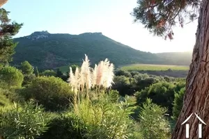 Haus zu verkaufen lodeve, languedoc-roussillon, 11-2175 Bild - 4