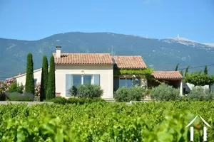 Haus mit Gästehaus zu verkaufen bedoin, provence-cote-d'azur, 11-2369 Bild - 13