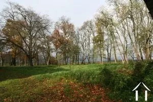 andere immobilien zu verkaufen bourbon lancy, burgund, BP7811BL Bild - 9