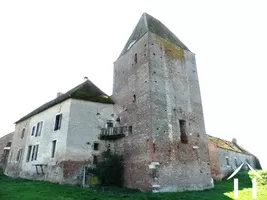 Schloss zu verkaufen verdun sur le doubs, burgund, AH4550B Bild - 1