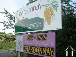 Gewerbeimmobilien zu verkaufen chardonnay, burgund, JP4720bis Bild - 8