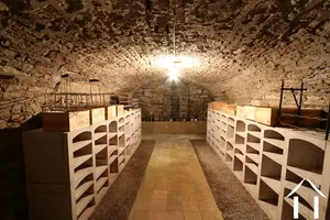 Vaulted cellar