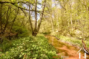 Immobilien 1 hectare ++ zu verkaufen neuvic entier, limousin, 777 Bild - 37
