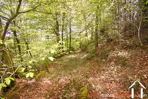 Immobilien 1 hectare ++ zu verkaufen neuvic entier, limousin, 777 Bild - 39