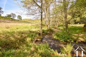 Immobilien 1 hectare ++ zu verkaufen neuvic entier, limousin, 777 Bild - 38